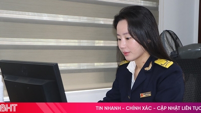 À la fin du mois d'avril, les recettes budgétaires intérieures de Ha Tinh ont atteint près de 50 % du plan annuel.