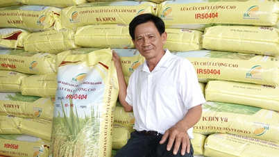 Tỉ phú lúa giống miền Tây: Người đi lên từ cơ hàn