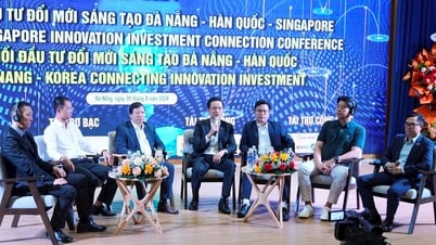 Đà Nẵng dẫn đầu về tốc độ phát triển hệ sinh thái khởi nghiệp cả nước