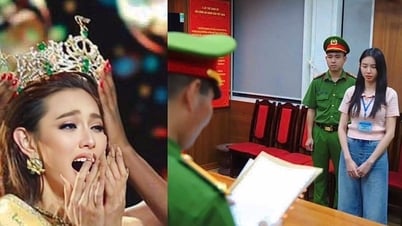 Internationale Medien berichteten, dass Frau Thuy Tien strafrechtlich verfolgt wurde.