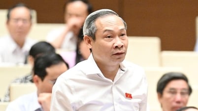 Đại biểu: Người từ 16 tuổi góp vốn thành lập doanh nghiệp, mở quán trà sữa tại sao không?