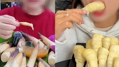 Cẩn trọng trào lưu trên mạng xã hội: Đua nhau 'mukbang' măng vầu ngọt, coi chừng...