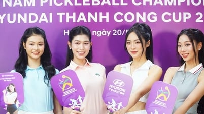 ベトナム・ピックルボール・トーナメント開催 - ヒュンダイ・タン・コン・カップ2025