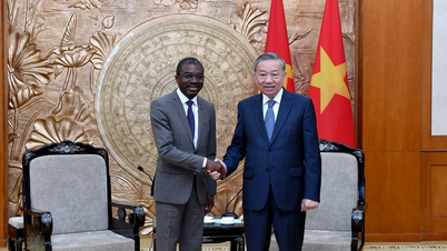 [Photo] General Secretary To Lam receives Director of UNESCO World Heritage Center