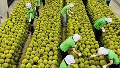 Descifrando las dificultades que afectan la posición exportadora agrícola...