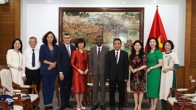 Thứ trưởng Hoàng Đạo Cương tiếp và làm việc với Giám đốc Trung tâm Di sản thế giới