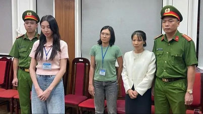 Del caso de la señorita Nguyen Thuc Thuy Tien: Las personas famosas deben ser conscientes de su impacto en el público.