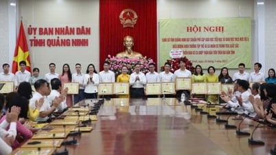 Meilenstein in der Organtransplantationsindustrie in Quang Ninh