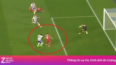 នឹក​មិន​គួរ​ឲ្យ​ជឿ​របស់ Salah