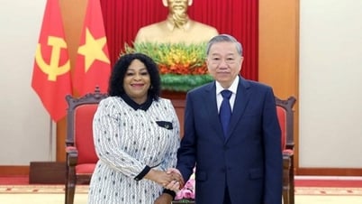 El Secretario General To Lam cree que Sudáfrica será anfitrión exitoso de la Cumbre del G20.