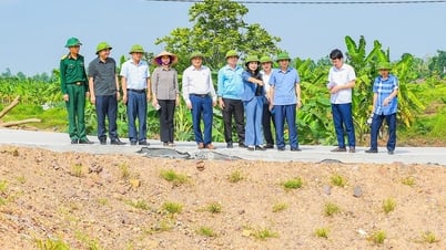 Thanh Hà xây dựng 7 phương án hộ đê ứng phó lũ bão năm 2025