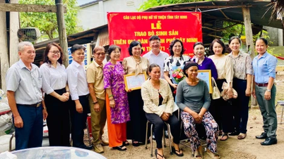 Der Frauen-Wohltätigkeitsclub der Provinz Tay Ninh spendet Zuchtkühe an Frauen in schwierigen Lebensumständen