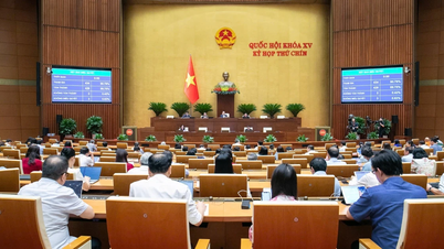 La tercera semana de trabajo del 9º periodo de sesiones de la 15ª Asamblea Nacional se centra en el trabajo legislativo