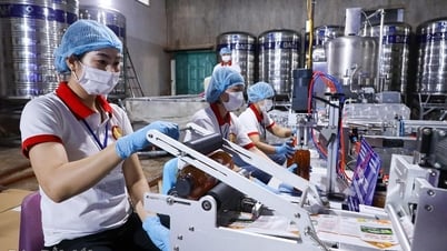Unleashing internal resources for private economic development