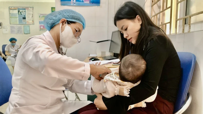 [Video] Hanoi proactively implements measures to prevent and combat summer diseases
