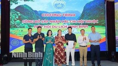 Annonce de la fusion des succursales de l'Association du tourisme de Ninh Binh