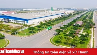 اللجنة الشعبية الإقليمية توافق على خطة تقسيم المناطق لمنطقة لوو بينه الصناعية