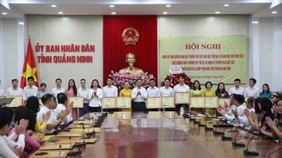 광닌성 주민을 위한 교육 및 의료 서비스 개발