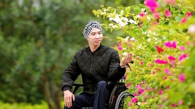 "둥근 발"에 대한 확고한 교사