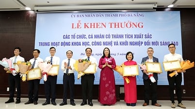 การไฟฟ้าดานังได้รับรางวัล Vifotec Award และใบรับรองเกียรติคุณจากประธานเมือง