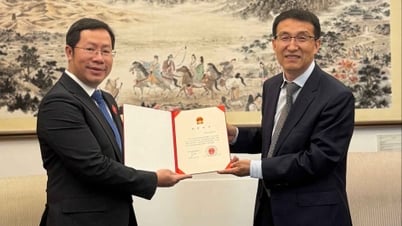 Der vietnamesische Generalkonsul in Chongqing, Bui Nguyen Long, überreicht dem chinesischen Außenministerium sein Beglaubigungsschreiben