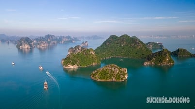 Vẻ đẹp hiếm có của Di sản địa chất quốc tế ở Việt Nam