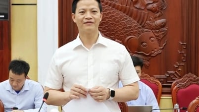 Construcción de la instalación de 3.150 billones de la Universidad Médica de Hanoi en Bac Ninh