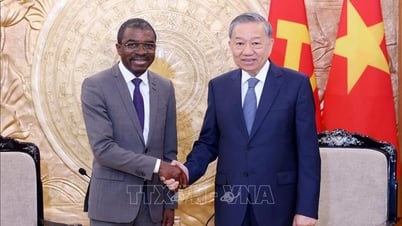 Tổng Bí thư Tô Lâm tiếp Giám đốc Trung tâm Di sản Thế giới của UNESCO