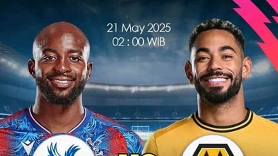 Nhận định Crystal Palace vs Wolves, 02h00 ngày 21/5: Tri ân người hâm mộ