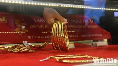 តម្លៃមាសនៅថ្ងៃទី 20 ឧសភា៖ ដុំមាស SJC រក្សានៅតម្លៃ 119.3 លានដុង/tael