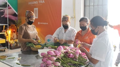 새로운 농촌 건설의 소득 기준 품질 개선