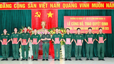 Binh đoàn 15 phong, thăng quân hàm cho 55 sĩ quan