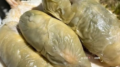 どろどろでカビが生えたように見えるドリアンが、1kgあたり70万ドンという衝撃的な価格で売られている。