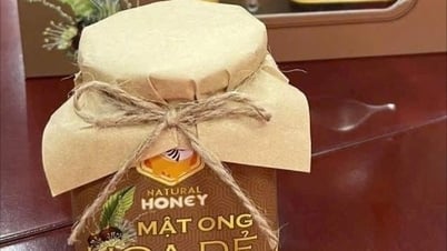 Công ty CP Ong mật Việt Ý có nhiều sản phẩm OCOP nhất Chí Linh