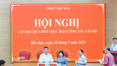 Bắc Kạn thực hiện quy trình bầu bổ sung 01 Phó Bí thư Tỉnh ủy