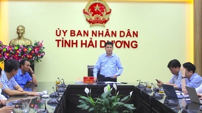 จังหวัดไหเซืองอยู่ในกลุ่มที่มีการจ่ายเงินลงทุนสาธารณะสูงกว่าค่าเฉลี่ยของประเทศ