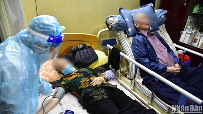 [영상] 코로나19에 선제적으로 대응하세요: 소극적이거나 놀라지 마세요