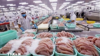 Escapando de la “trampa de la dependencia”, los productos del mar vietnamitas se enfrentan a nuevos desafíos y oportunidades
