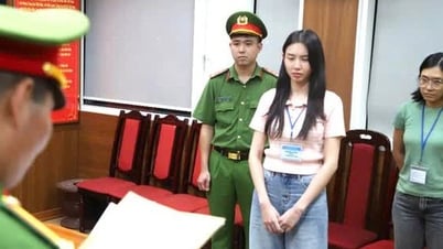 Lê Thành Công, nhân vật kín tiếng cùng hoa hậu Thùy Tiên tham gia nhiều công ty, là ai?