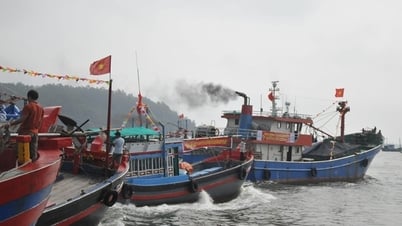 Ciudad. Hue: Gestionar minuciosamente los barcos pesqueros que descargan mercancías en puertos no designados