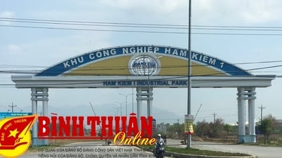Các KCN Bình Thuận: Thu hút 93 dự án đầu tư thứ cấp