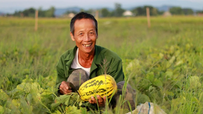 បំប្លែង​ដី​ស្រែ​គ្មាន​ប្រសិទ្ធភាព​ទៅ​ជា​ដំណាំ​ឪឡឹក រក​ចំណូល​ពី ១០ ទៅ ១៥​លាន​ដុង/សៅ