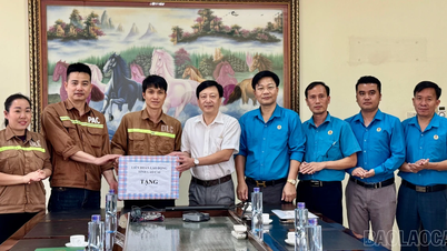 Liên đoàn Lao động tỉnh thăm, tặng quà người lao động nhân Tháng Công nhân