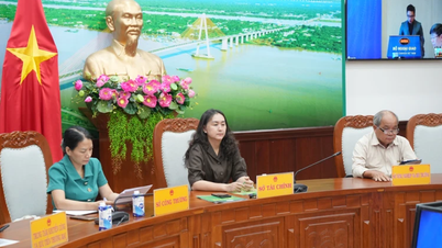 Resumen del proyecto "Desarrollo de las relaciones entre Vietnam y los países de Oriente Medio y África (2016-2025)"
