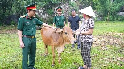 Mô hình thiết thực động viên thanh niên lên đường nhập ngũ