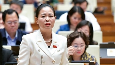 Hậu kiểm không phải việc kiểm tra tùy tiện, tùy hứng của cán bộ