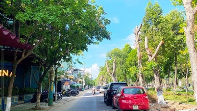 TP Quy Nhơn xây dựng 3 tuyến phố đi bộ