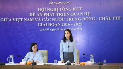 Profundizar e integrar las relaciones diplomáticas entre Vietnam y los países de Oriente Medio y África