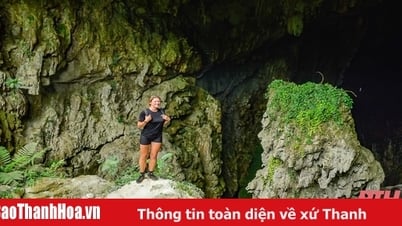 Шедевр посреди леса Пу Луонг