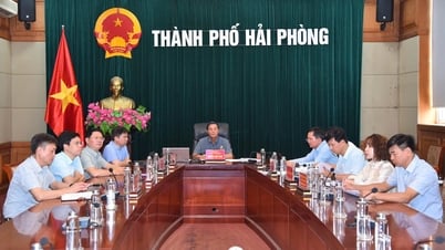 Chủ tịch UBND thành phố dự Hội nghị trực tuyến toàn quốc về thúc đẩy giải ngân đầu tư công tại điểm cầu Hải Phòng